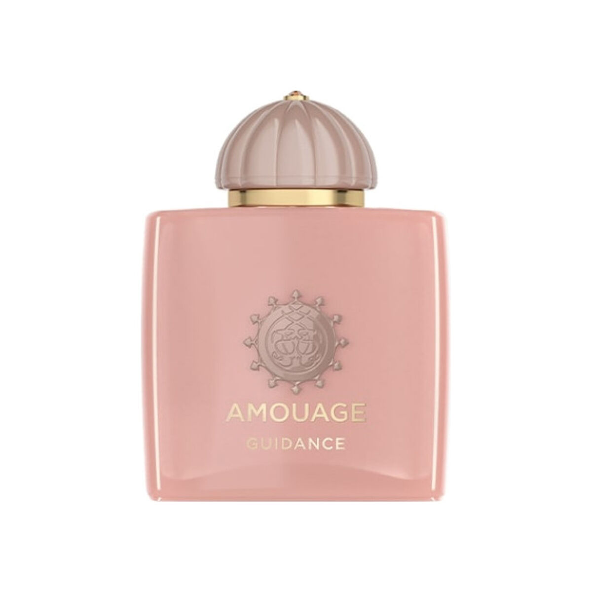 Amouage Guidance